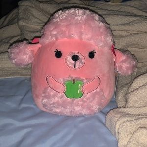 Chloe the poodle back to school Squad